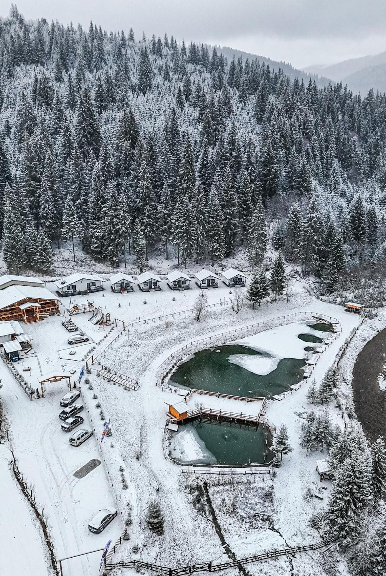 Clubul Dacilor Hotel Kommandó Kültér fotó